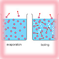 Behaviour of particles in evaporation and boiling 