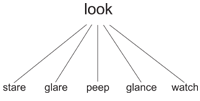 hyponyms of 'look'